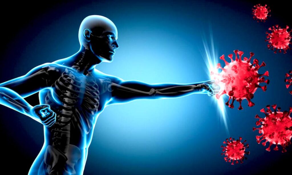 Daily Approach to Strengthen Your Immune System Through Nutritional Intake