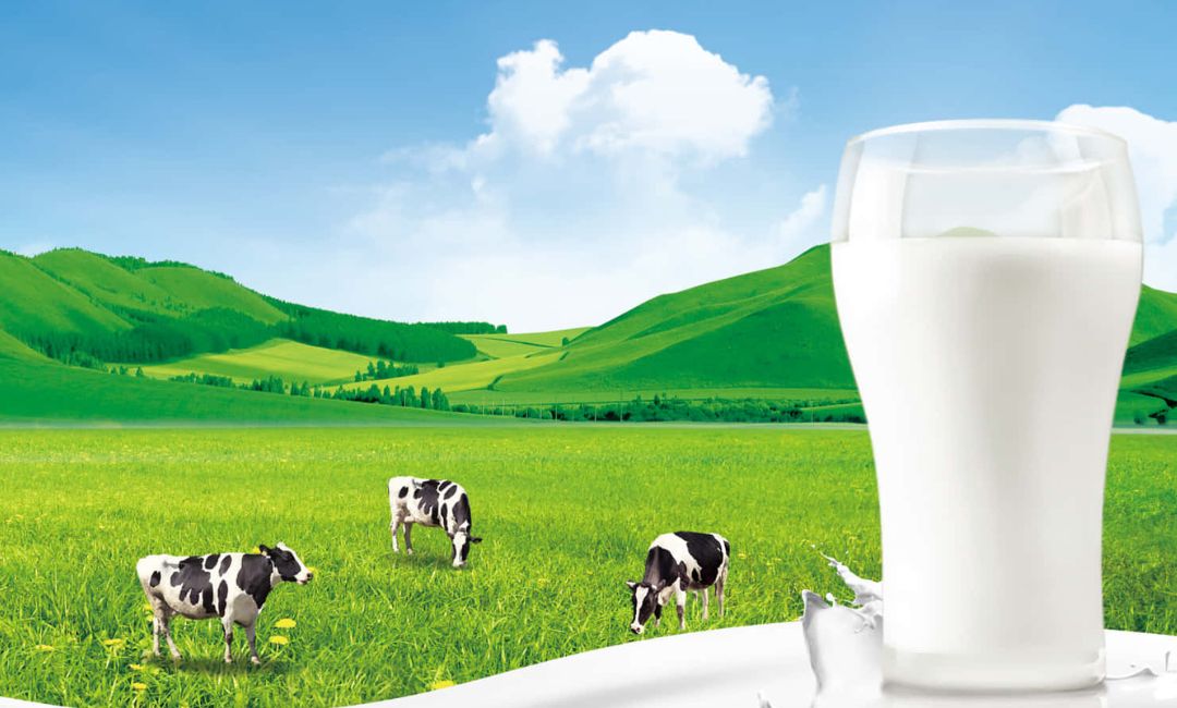 Milk's Natural Defenses