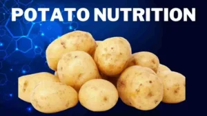 Potato Nutritious Vegetable