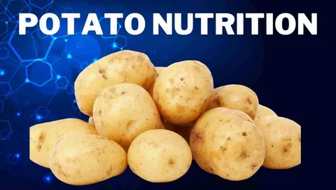 Potato Nutritious Vegetable