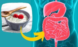 Yogurt benifits
